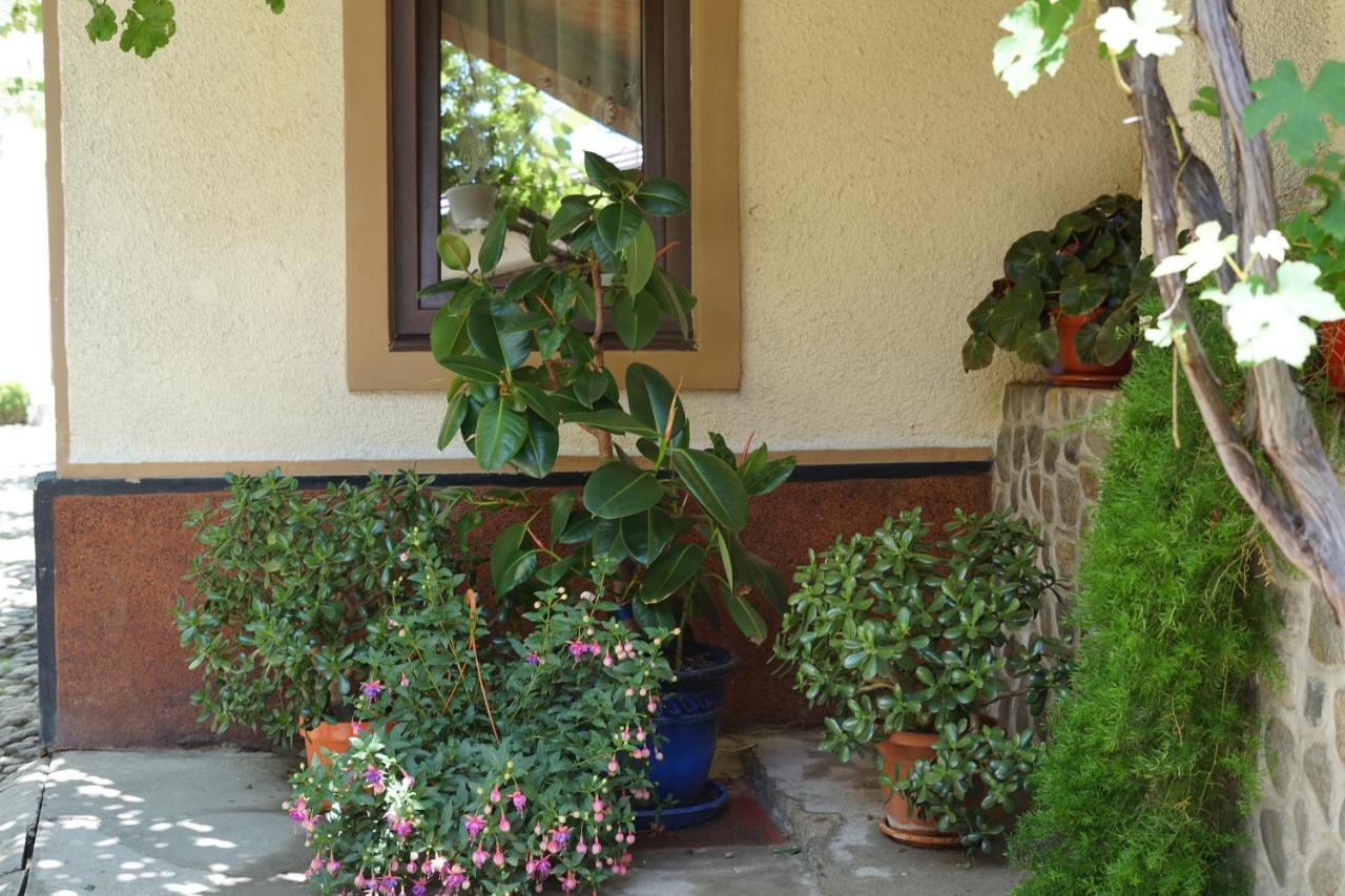 Casa Ciortea Ana Sibiel Exterior photo