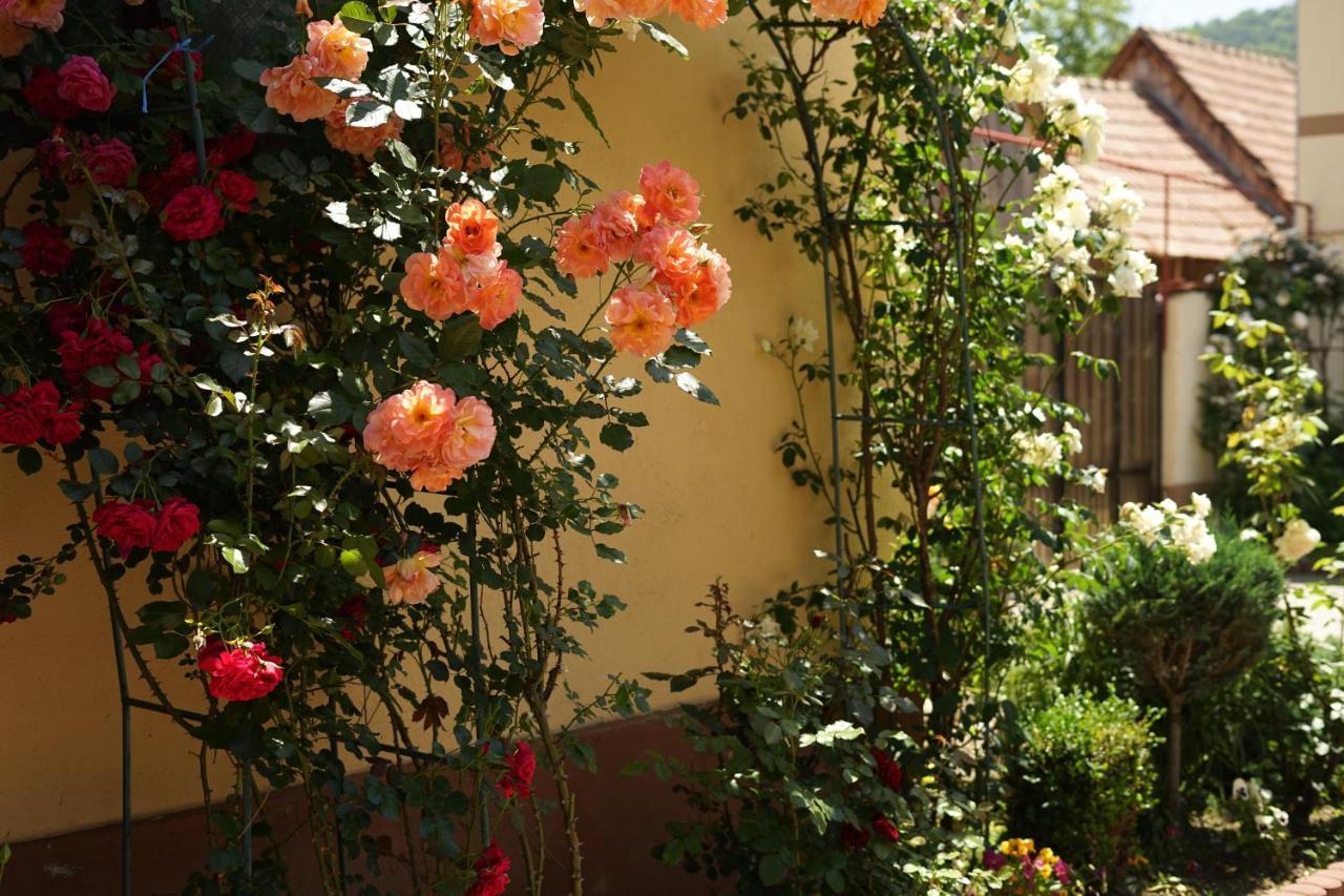 Casa Ciortea Ana Sibiel Exterior photo